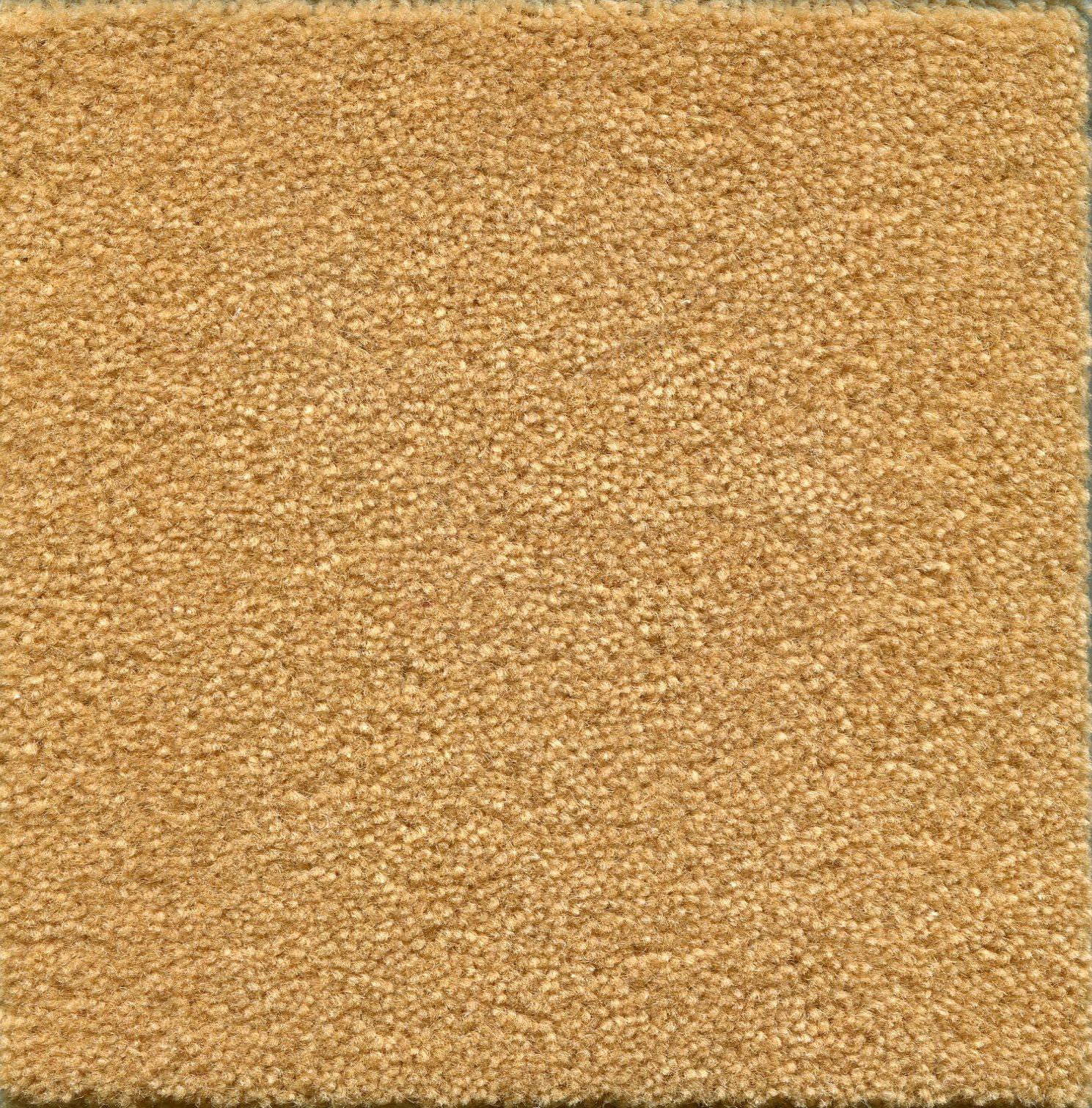 2231 Wheat