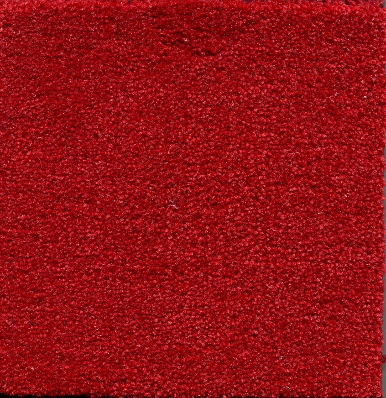 2204 Cardinal